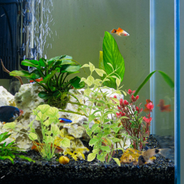 2 Count Aquarium Wasserpflanzen Dekoration Künstliche