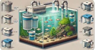 Klarheit im Wasser: Die Kunst der Aquariumfiltertechnik